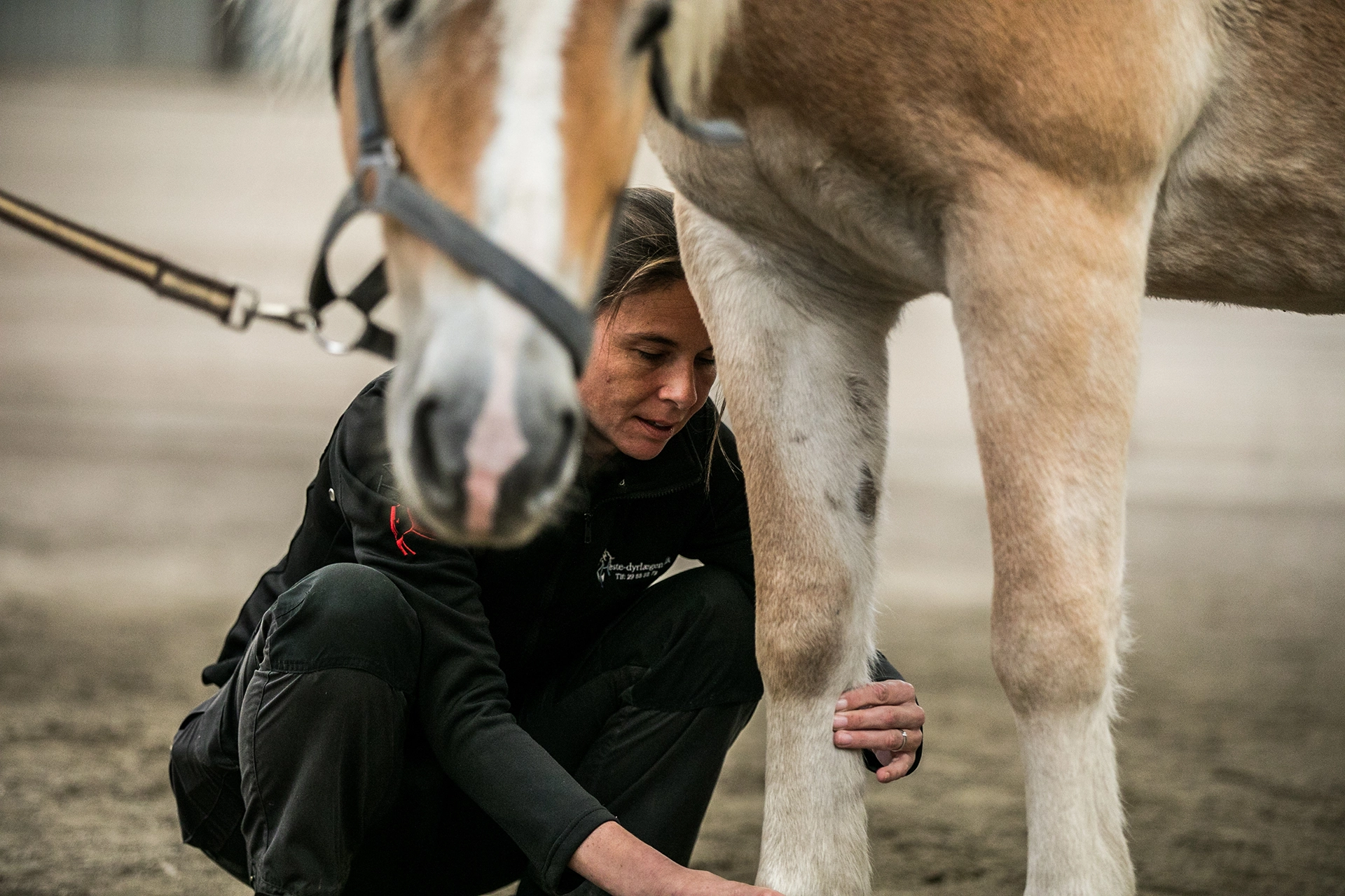 Sundhedstjek af din hest